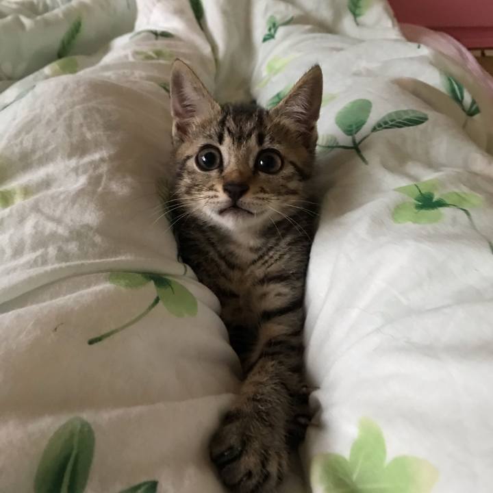 C7a7b834 6779 4cbc be51 5c3ff8b9e32f 1562202347480