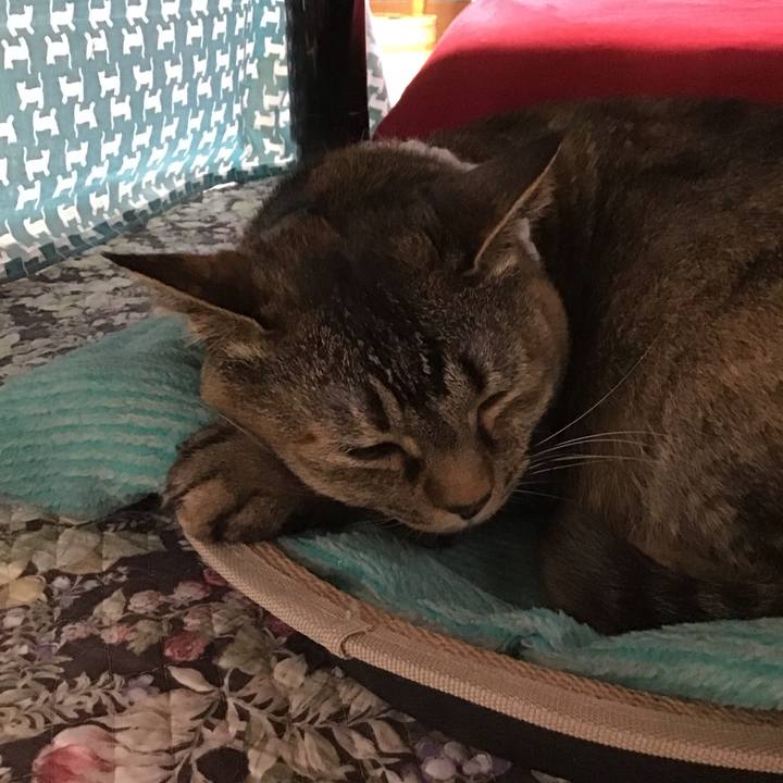 C7a7bea3 db31 4c5f a1b9 6c15a51d2e8f 1749380911367