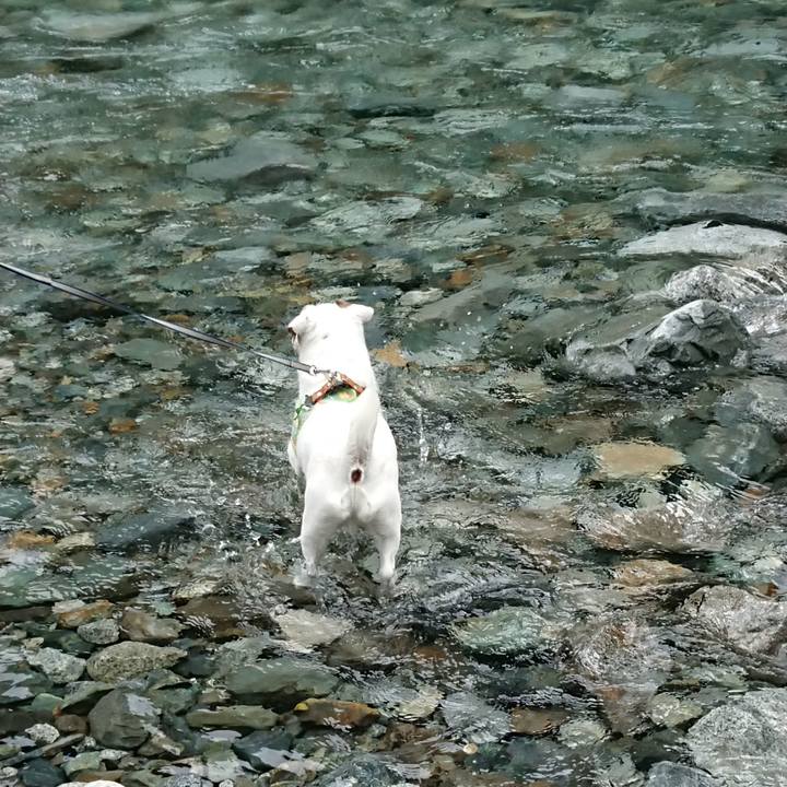 C7a7d7cb 63d8 4356 909f 48f1874a9482 1566430087368