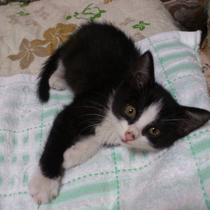 C7a80ae4 8d4f 422a 9c61 31dc7a0fe37c 1563667397737