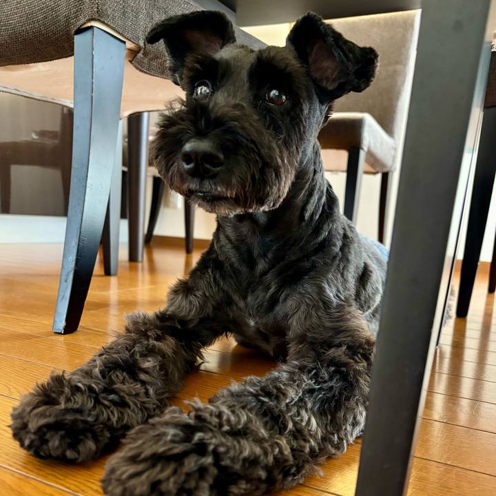 C7a8498b 9612 451b a166 c6e2f2b91e13 1754443161795