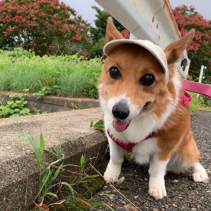 C7a875bc 8c2e 484e 9e0e 312a127aa0f4 1659571385288