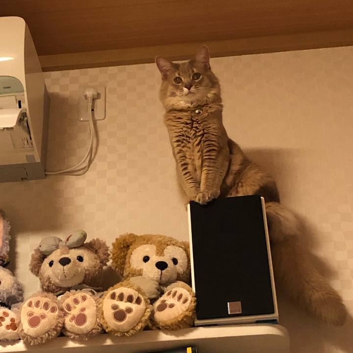 C7a87fd6 88ab 49a0 a2a0 4413cd0c5df2 1579006680566