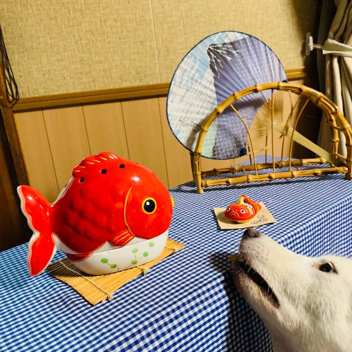 C7a88072 1b14 424a 97f8 daa7adccdad7 1565217988879