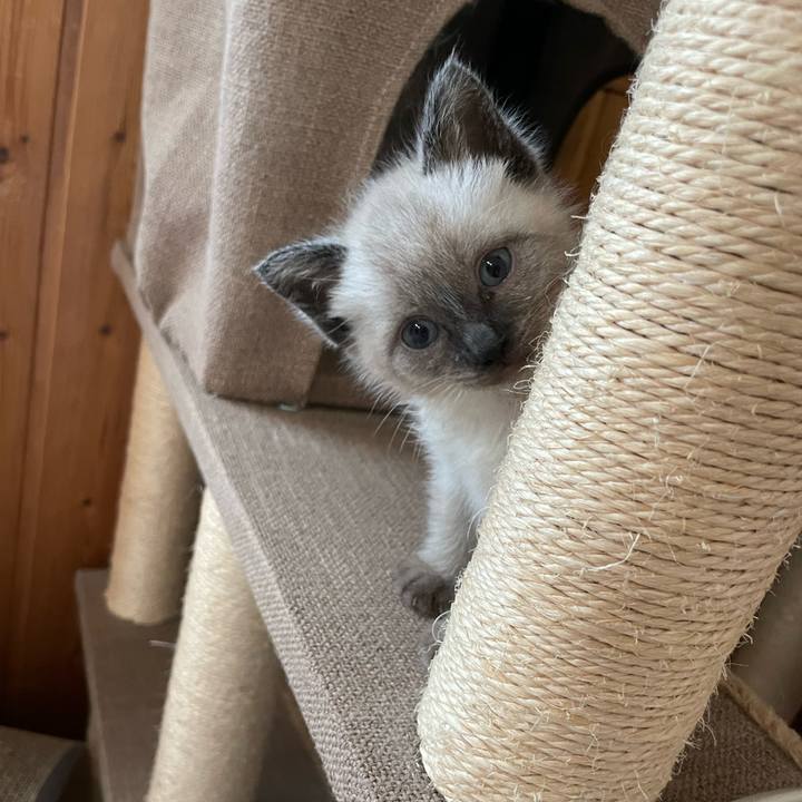 C7a891ed 1cb9 4eac 8b18 be30f3bd8941 1685649346686