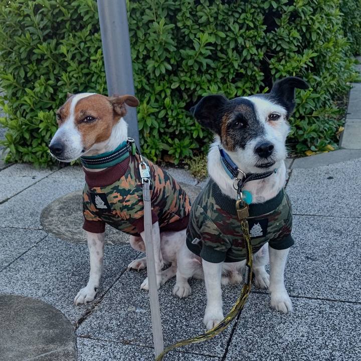 C7a8a631 a7dd 4f12 8b3f 67b7bfce0186 1700520998382