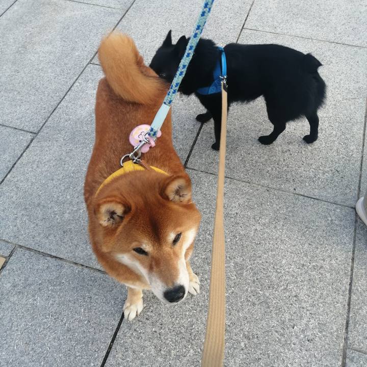 C7a8edd6 dea3 40e6 8d50 7cfe2827ec7a 1623099423777