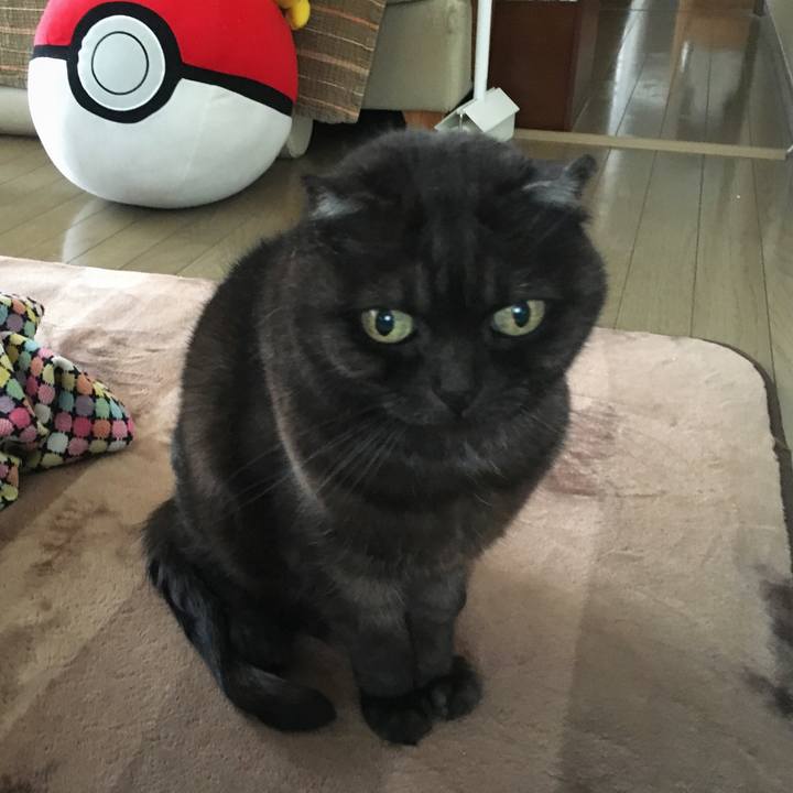 C7a8eeff ebe7 4127 814c 7ec15a49db24 1587363664105