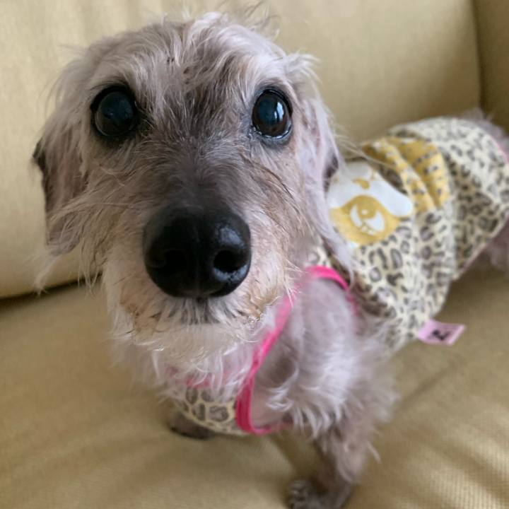 C7a933f6 f33a 4f2c 9cf1 89a7803679de 1564044743595