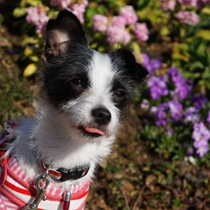 C7a957ae 2cbd 4437 a9ad 8a5509c793dc 1521019261884