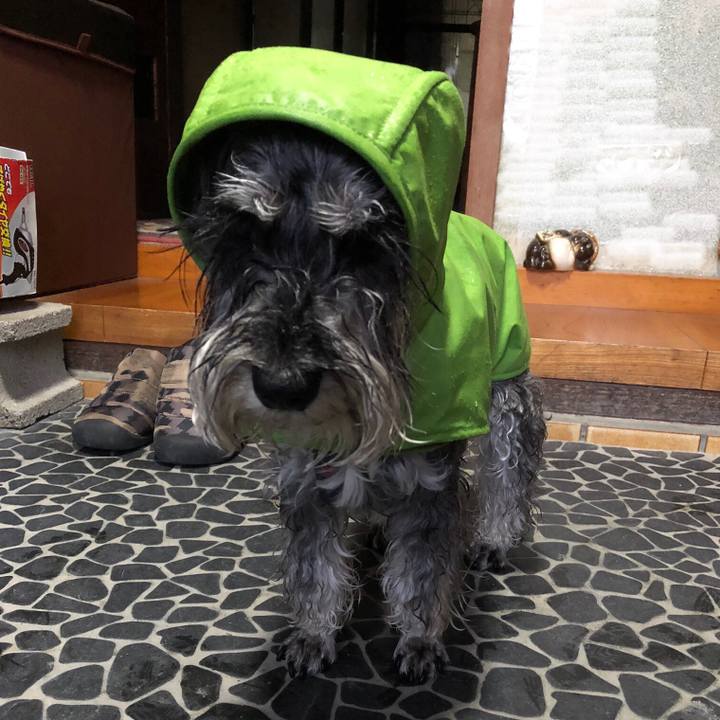 C7a97191 0d0e 49e4 ae23 65e2b64ce8ce 1684074198175