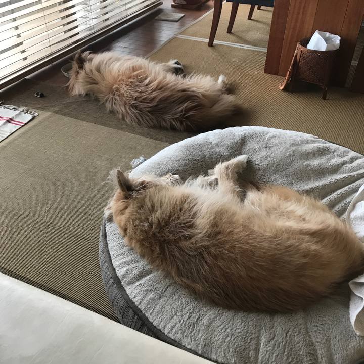 C7a986db cc5d 4adb 8c86 483a9b3b8491 1586953647872