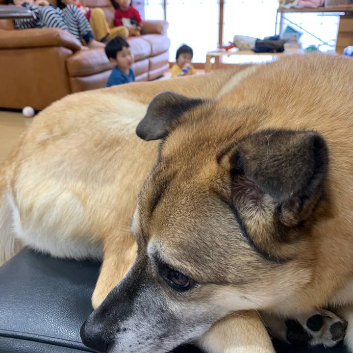 C7a9a788 aba3 4188 a0bf 0044e0c63fa2 1546561253904