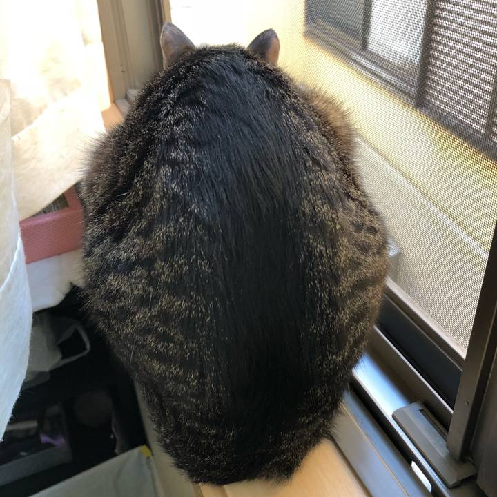 C7a9bc9c b81e 4630 b4e9 98af7fb57370 1516690688155