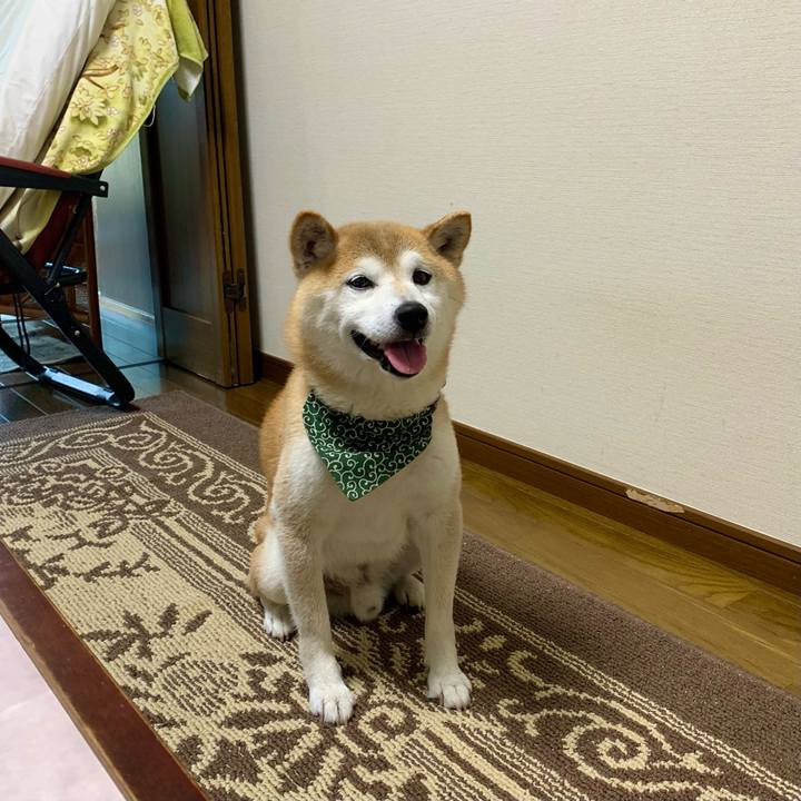 C7a9c363 6564 4ec7 a7d4 01adba5f3ccc 1689071250079