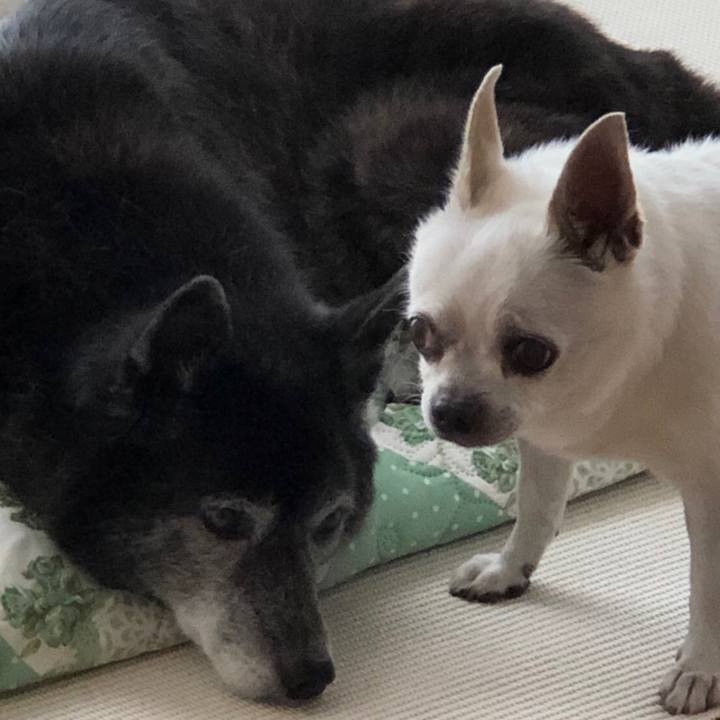 C7a9c934 6965 4c76 9f30 d34cf6cec12e 1663483185461