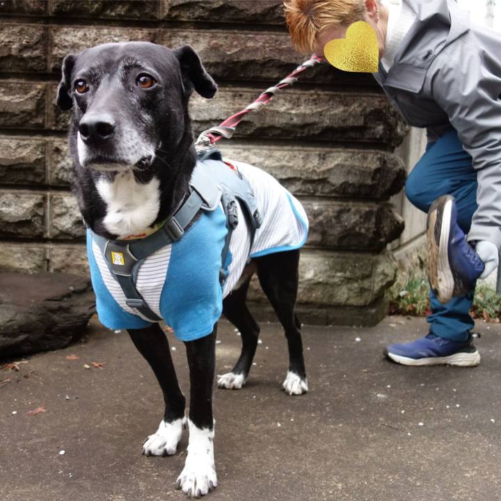 C7aa174e 85d3 49a0 ba0e a9021ad5d129 1741220050799