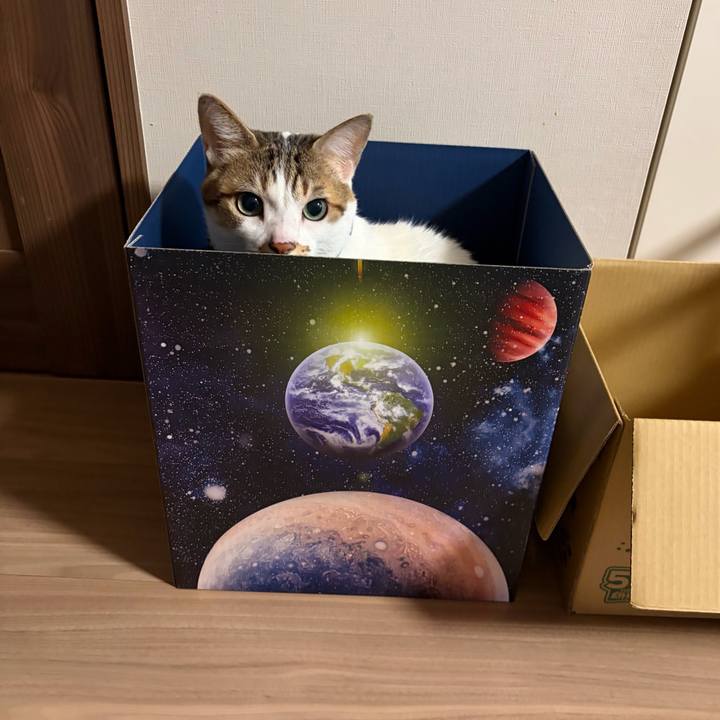 C7aa6e01 4cba 4d8b 8fc2 bf64f7345a64 1771054277998