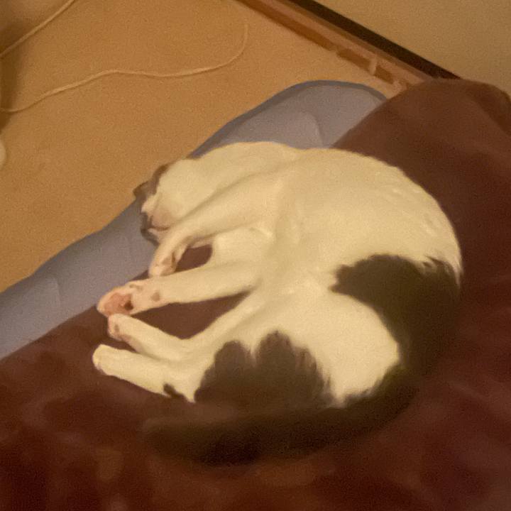 C7aa953c 677b 4496 a561 4f6245650b9a 1626274223863