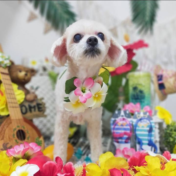 C7aab176 d5b7 4691 aada baa728639661 1659217406621