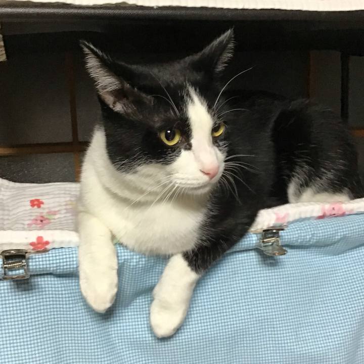 C7aabec4 1da0 421c 8cce cd2094e86fa6 1695474171329