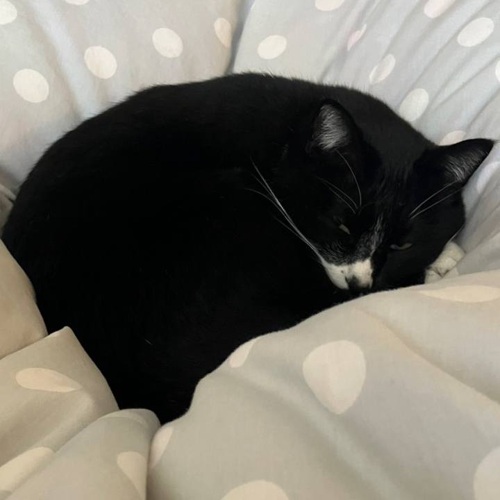 C7aac386 7bfd 4c08 ba4b 0254f7d7b964 1742357429926