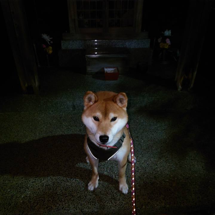 C7aad606 110b 4d3e 898f 01bc0423a9c1 1766463188158