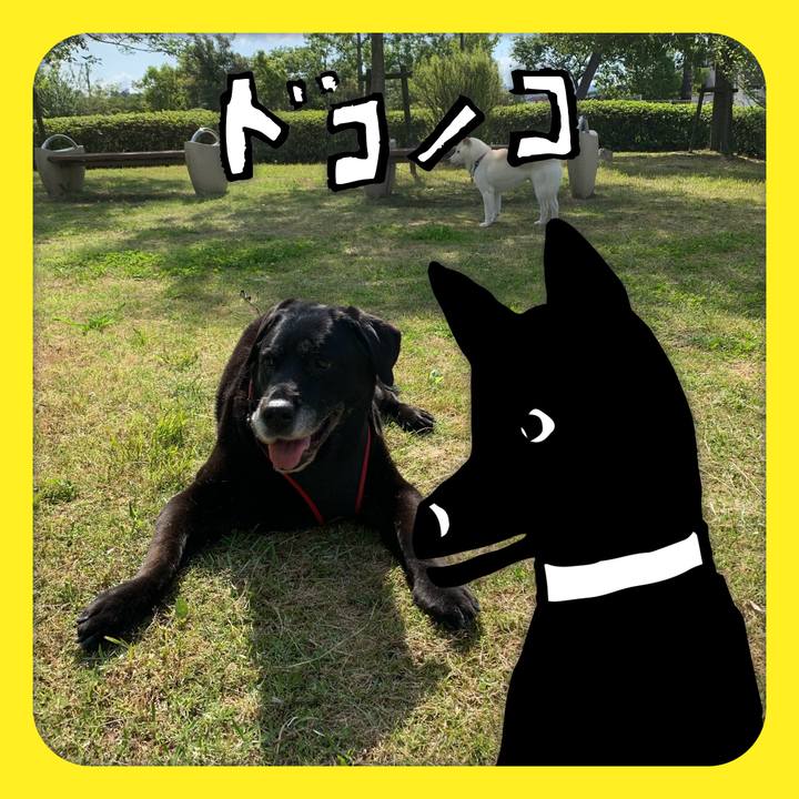 C7aae0a7 b30a 4937 8aa2 bc147b4c20a6 1623540485299