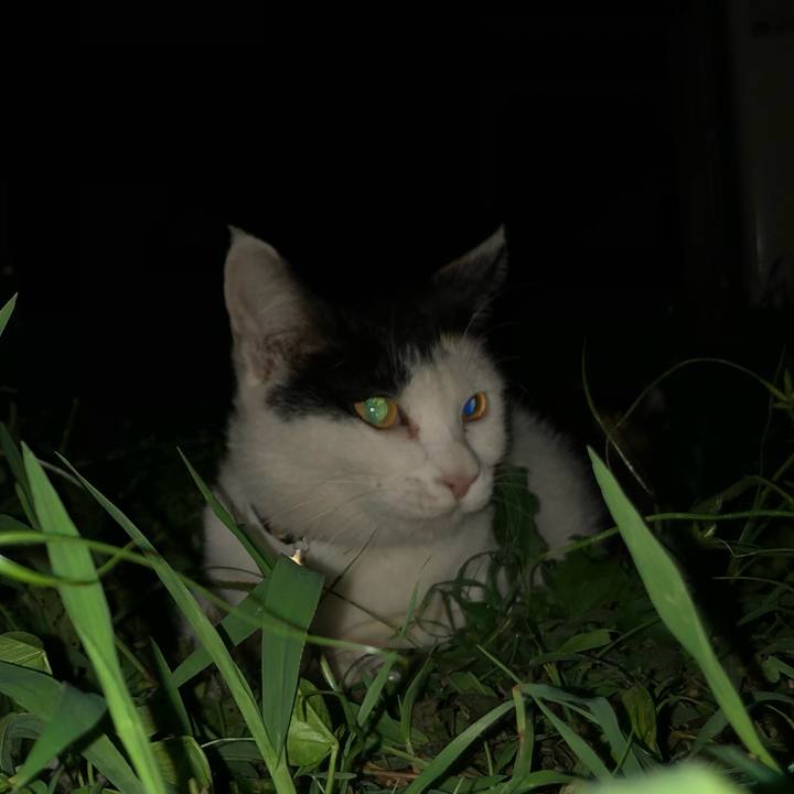 C7ab4170 b7bb 4225 990f f9ba025ba7a9 1630759171675