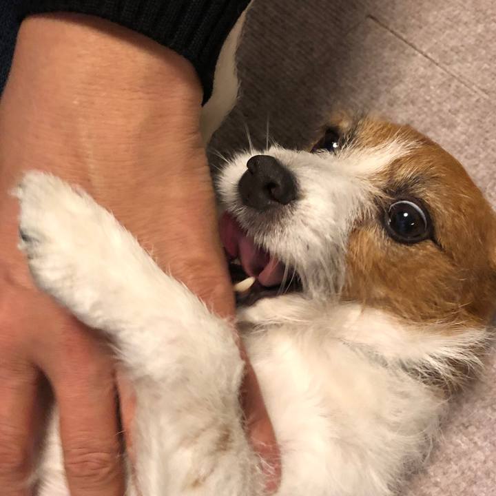 C7ab5d36 ebaf 4b2c 98f0 789c02dcf4e8 1546352460529