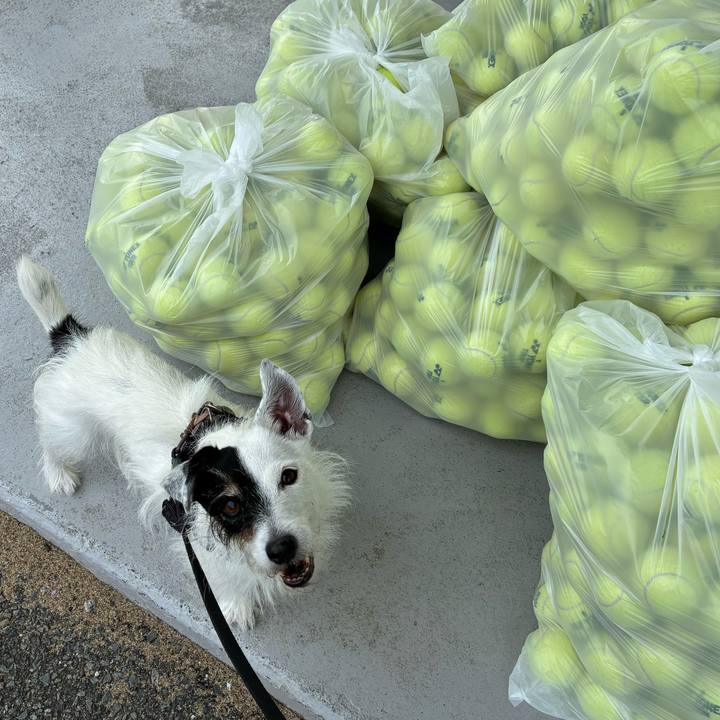 C7ab5dd5 7d48 4916 9eea b17ede181848 1762052365023