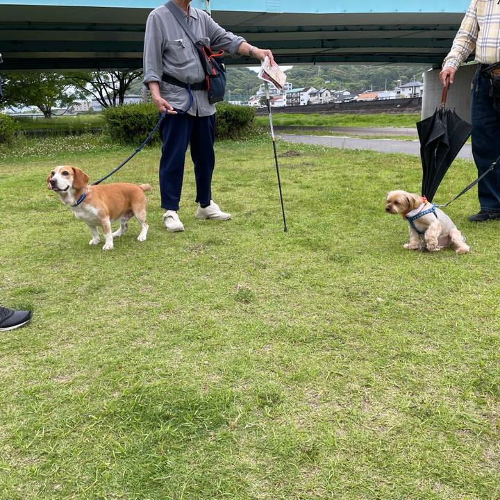 C7ab5fd3 c8a2 4bf2 a3e3 7a442c9ddd37 1685191059357