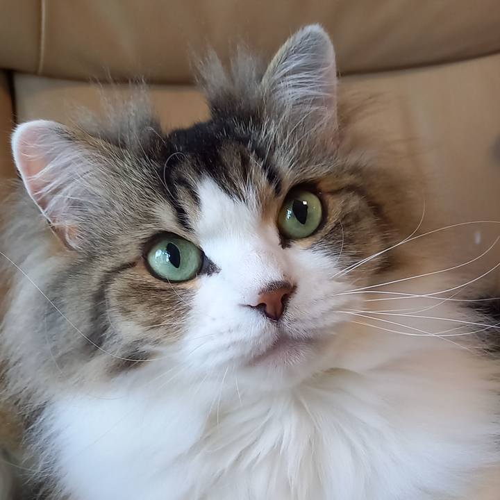 C7ab63f0 fb8e 44bd a4f0 d3bdd38dca77 1648856086688