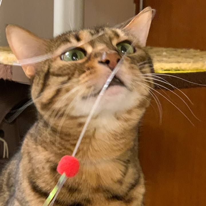 C7ab8ff1 e4a1 4eec 8d97 982bc0d3a58b 1584395514772