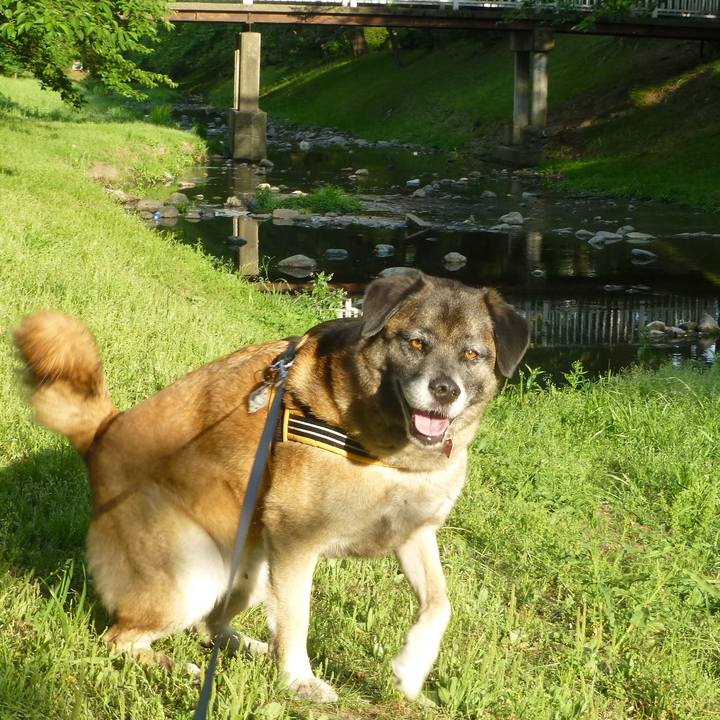 C7abb6a5 715b 4071 b1d9 40a04612f6a4 1579912901300