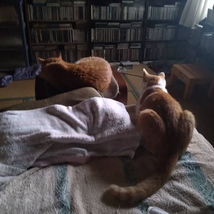 C7abbd61 9365 4a69 9d55 81fb441a5917 1750801241807