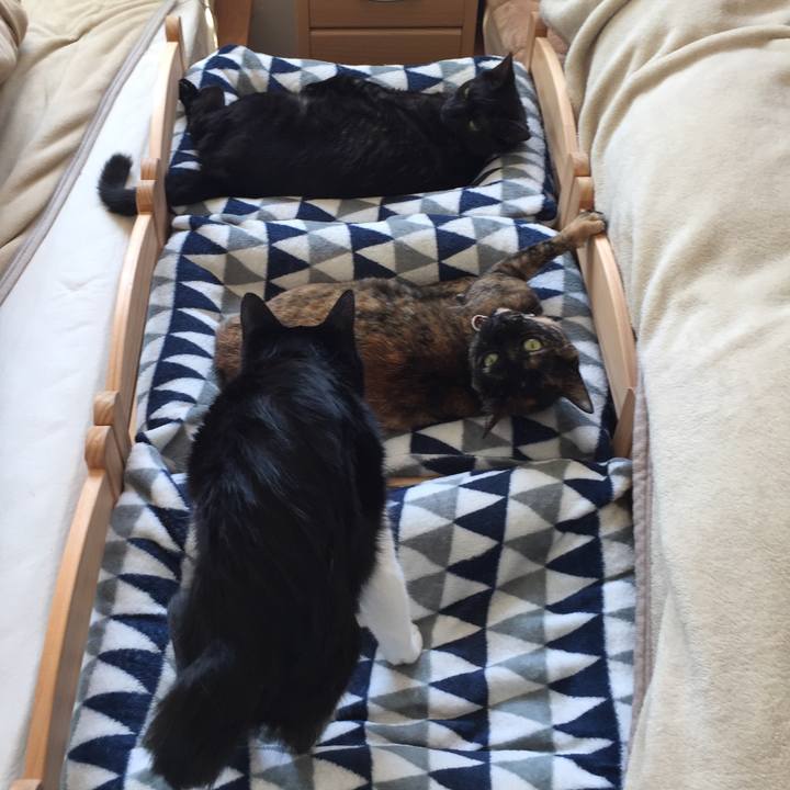 C7ac2356 504d 4341 8cf1 311b2474958e 1524916670689