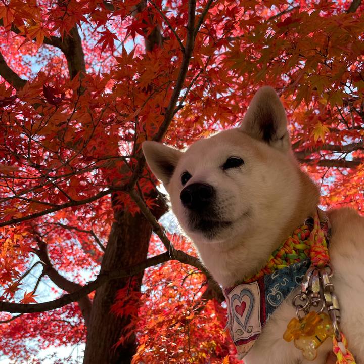 C7ac7afc 2c6d 4b8a 80c2 faf4fb248684 1638078619199