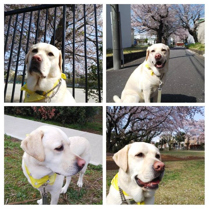 C7aca117 de66 45f7 afaa 65a192b54167 1554703805367