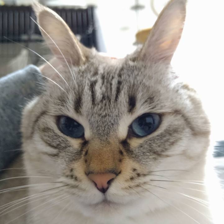 C7aca50e 446c 4350 a8e8 7bfe3f76c68d 1672573564854