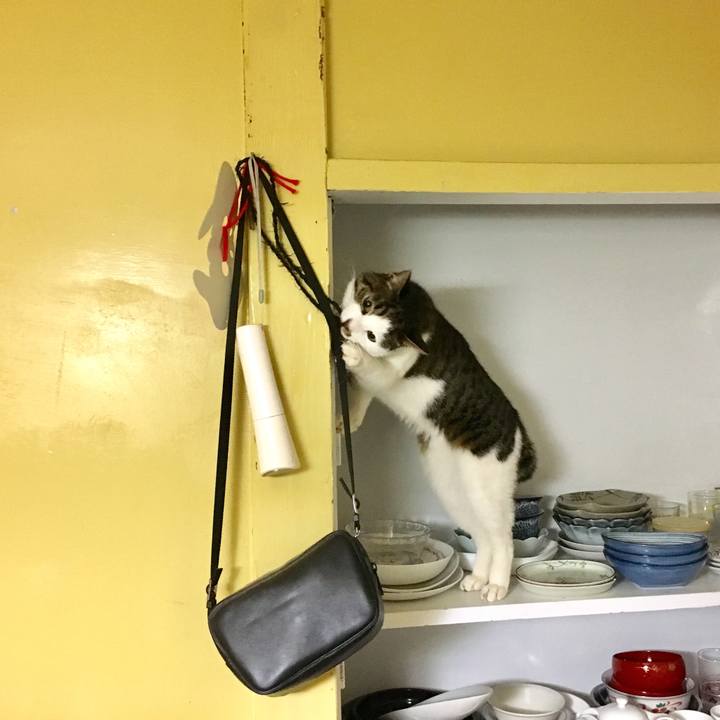 C7ace101 b705 4dba bfae 6640cb29a4fa 1544868917793