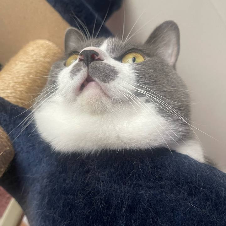 C7ad4699 e3bf 4d8b b328 a4a4d5111aee 1730072813613