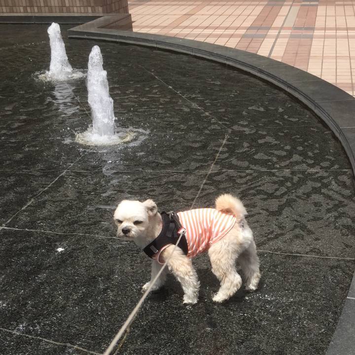 C7ad4e88 5cad 4943 9dd2 b446dd7a1592 1556857232290