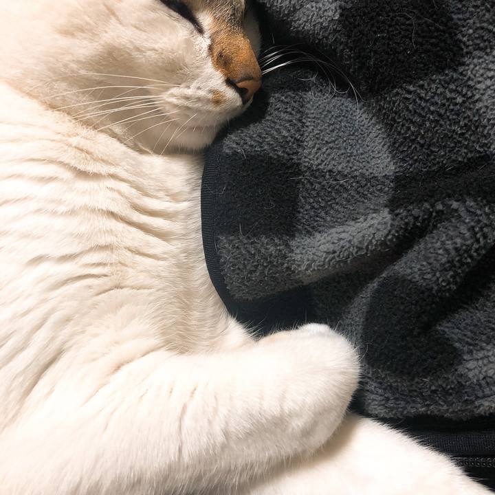 C7ad5961 2b55 4401 82a1 0c4ae98b0839 1520526377094