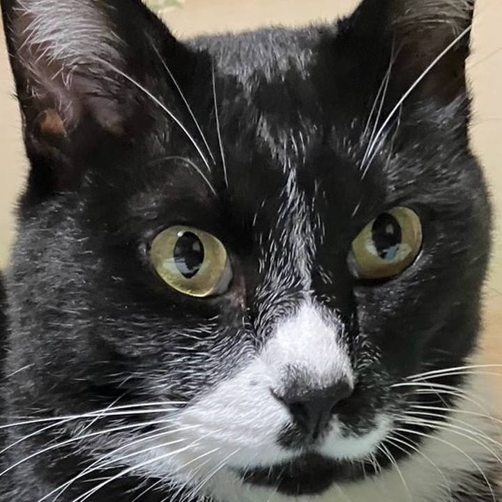 C7ad6aaf cfbb 48cf 9f18 37ca28b6b09c 1729922679391