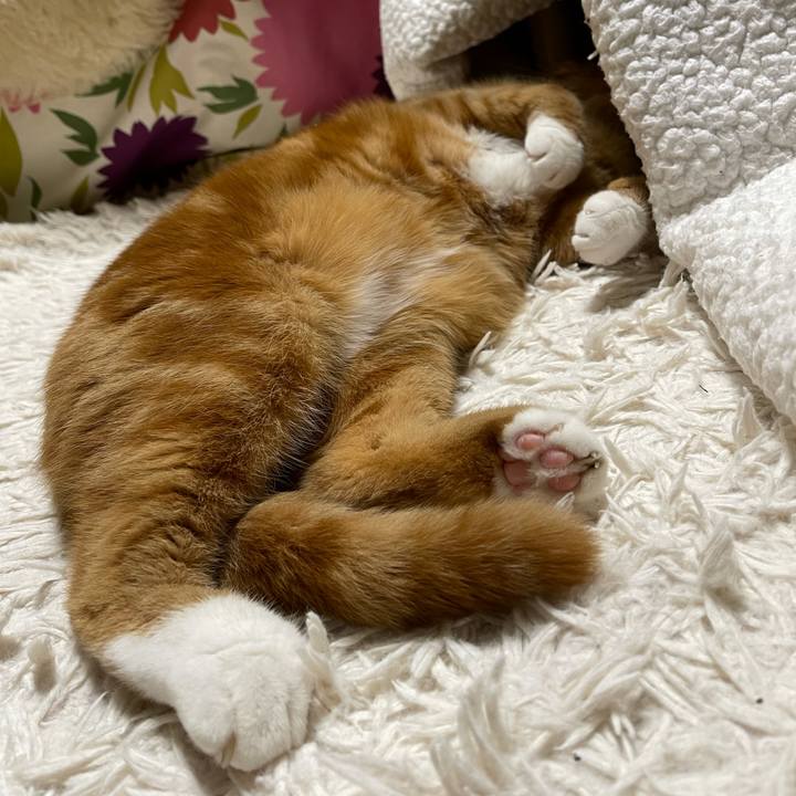 C7adc91e 871f 4bba 8f28 8b7ff320ccf9 1642252213817