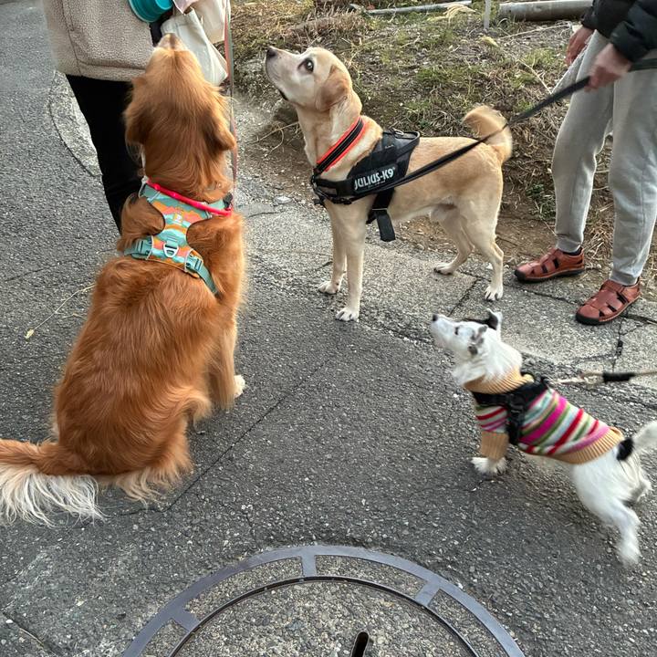 C7add44c e39f 431e 9c99 f3168f197cb3 1764748031289