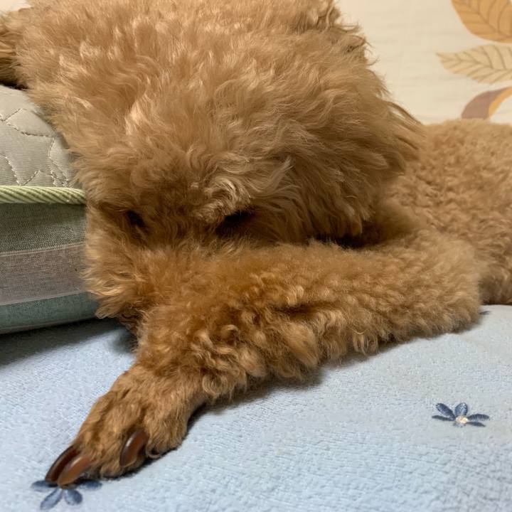 C7add6dc 503e 4112 bea5 b9db5be8461b 1562796052268