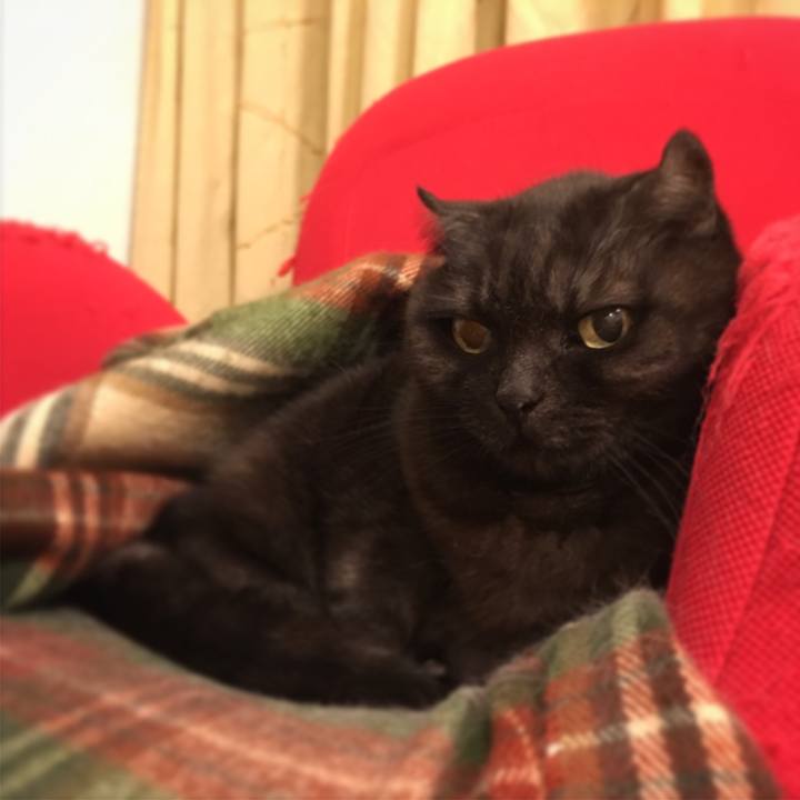 C7ae33fa 8695 420f ade8 989d0e8ca66c 1551373153267