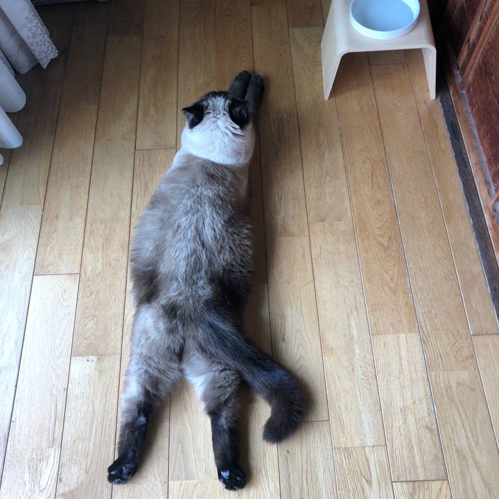 C7ae6449 20db 4d4e b669 ea8ccaba5421 1621649237269